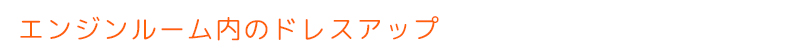 エンジンルーム内のドレスアップ